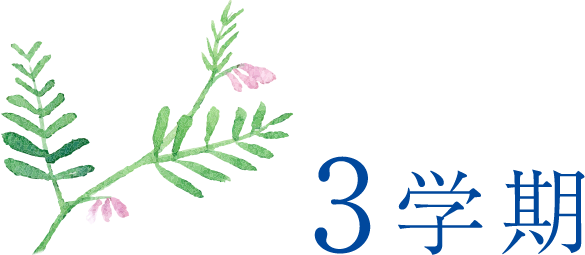 3学期